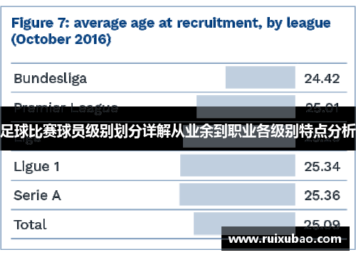 足球比赛球员级别划分详解从业余到职业各级别特点分析